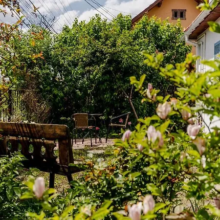 Casa Sachsenland *