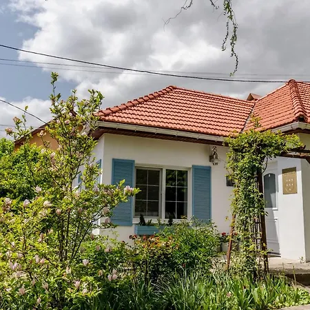 Casa Sachsenland Holiday home Cluj-Napoca